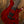 PRS Tekton T Bloodstone Red.