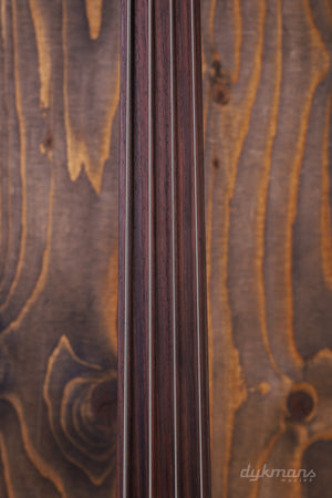 Music Man Pino Palladino Stingray Palladino Burst Fretless