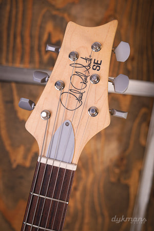 PRS SE Silver Sky Laurel Green
