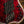 Dingwall Custom Shop Z3X-5 Magenta Crush Reverseburst
