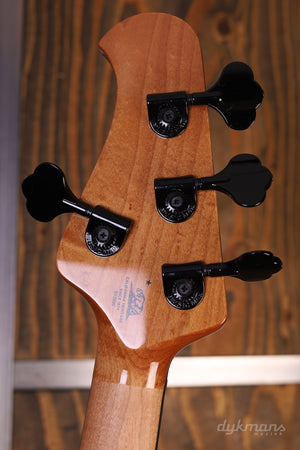 Music Man Darkray Silverburst