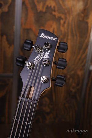 Ibanez GWB205 Tequila Sunrise Flat