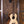 Eastman Tenor Ukulele EU2-T