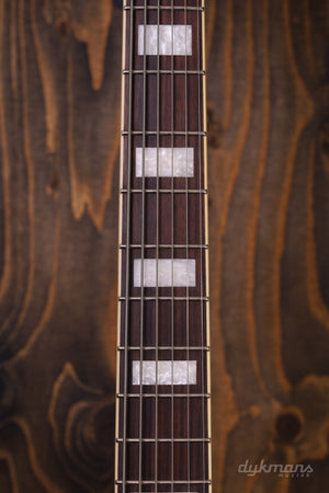 Ibanez AS7328 TBC