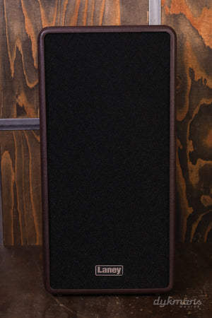 LANEY A-DUO