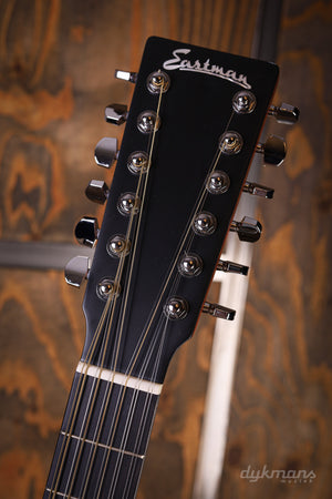Eastman E1D-12-DLX 12-String
