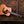 Eastman E1D-12-DLX 12-String