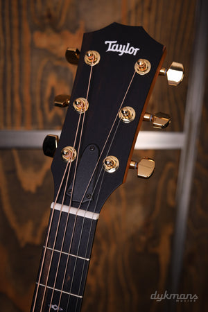 Taylor Limited Edition Sunset Boulevard 117th