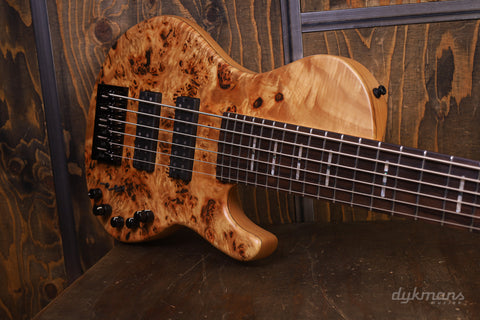 Sire Marcus Miller F10 6-String