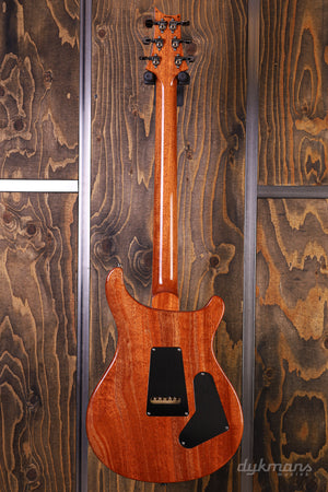 PRS Wood Library Custom 24 Lefty Aquamarine