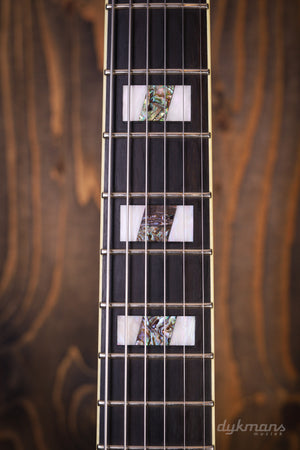 Ibanez PM200 Pat Metheny