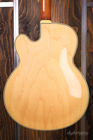 Ibanez PM200 Pat Metheny