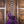 ESP Eclipse Custom Purple Peel