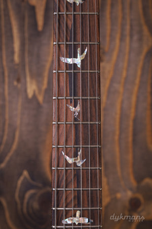 PRS Wood Library Modern Eagle V Yellow Tiger