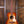 Taylor Ben Harper Gold Label 512e Special Edition