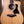 Taylor 150th 12 string