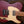 Suhr Andy Wood HH Iron Red RESERVED