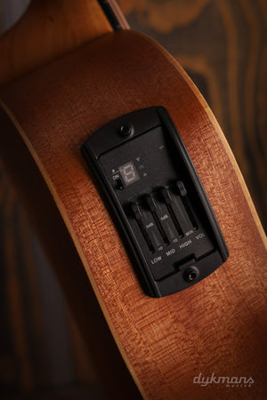 Taylor GS Mini-e Special Edition Honeyburst