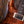 PRS Wood Library Hollowbody II Copperhead Burst Wood Library