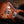 PRS Wood Library Hollowbody II Copperhead Burst Wood Library