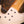 Sandberg California TM5 Soft Aged Cafe Creme