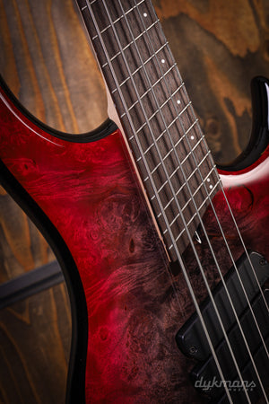 Dingwall Custom Shop Z3X-5 Buckeye Burl Black to Pink Reverse Burst