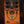 Beetronics Larva