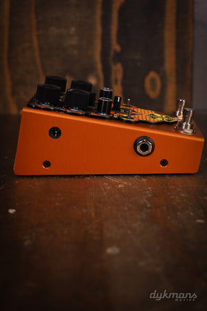 Beetronics Larva