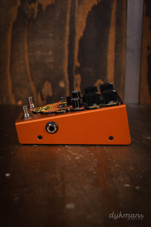 Beetronics Larva