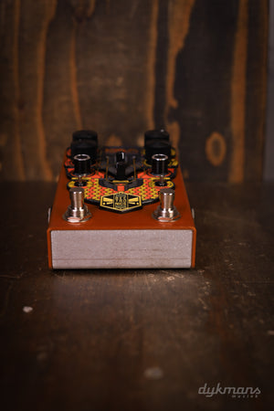 Beetronics Larva