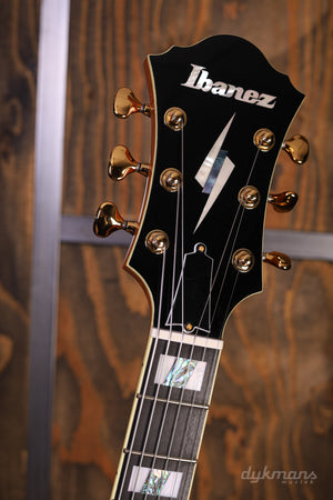Ibanez PM200 Pat Metheny