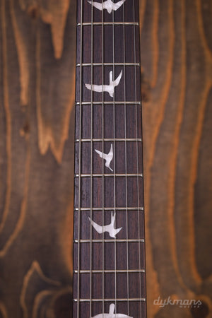 PRS SE Studio Standard Sage Green RESERVED
