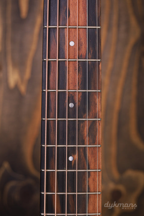 Taylor GS Mini-e Koa Plus