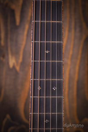 Martin Custom Shop D 14-Fret Cocobolo