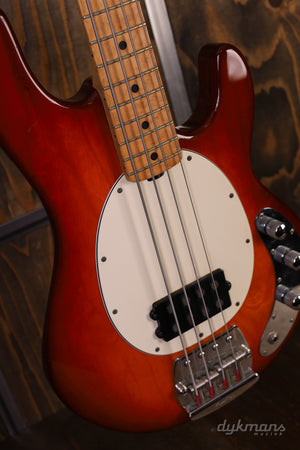 Music Man Stingray