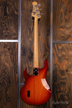 Music Man Stingray