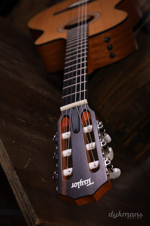 Taylor 112ce-N