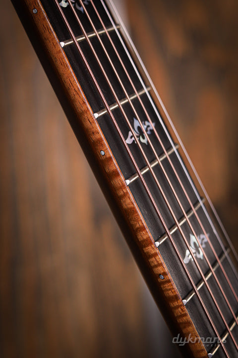 Taylor Custom GA LTD Cocobolo