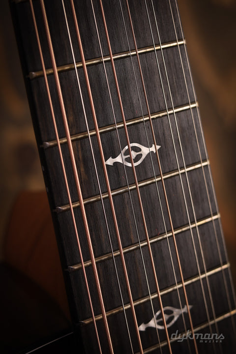 Taylor 150th 12 string