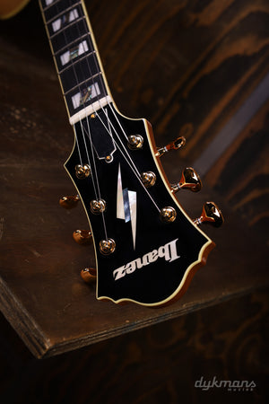 Ibanez PM200 Pat Metheny