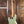 Fender Player II Jazz Bass Birch Green