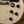 Epiphone 1960 Les Paul Special Double Cut TV White