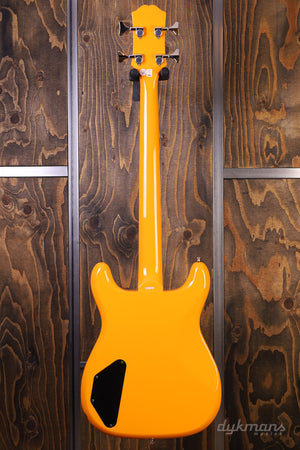 Epiphone Newport California Carol