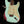 Fender Custom Shop Stratocaster Heavy Relic Surf Green Over Pink Paisley