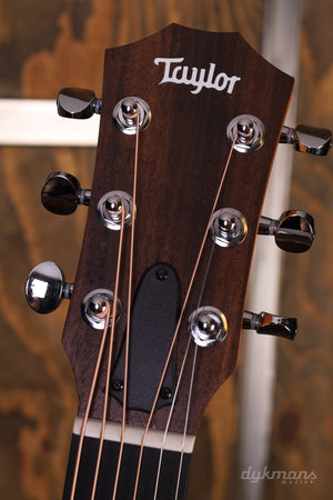 Taylor GS mini-e Special Edition Paisley Burst