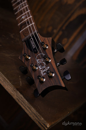 PRS Custom 24-08 Wood Library Sage