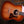 Taylor Gold Label 717e Sunburst