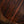 Lowden S50J Ziricote Alpine Spruce leaf inlay
