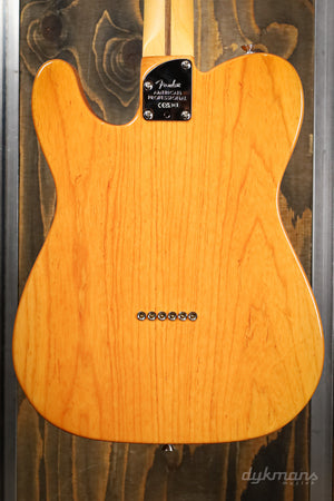 Fender Professional Telecaster Naturel
