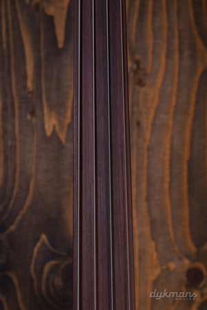 Music Man Pino Palladino Stingray Palladino Burst Fretless